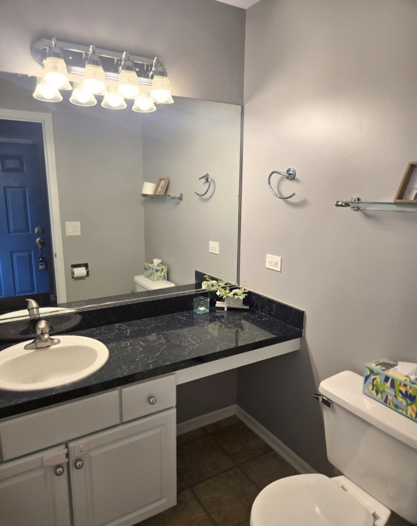 1328 Shawford Way Elgin, IL 60120 - Photo 10 of 19 a bathroom with a granite countertop sink a toilet and a mirror
