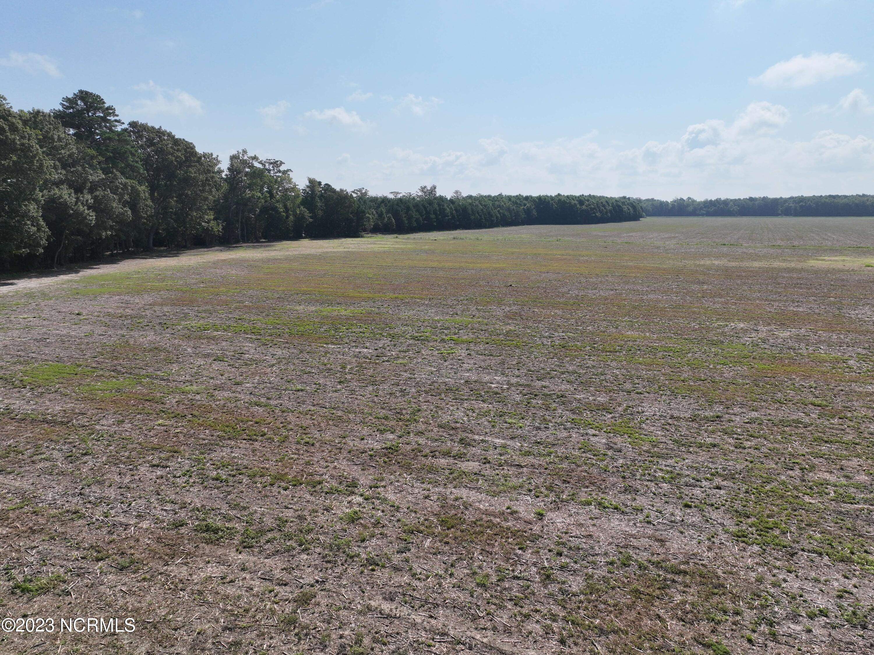 0 Dailey Road Camden, NC 27921 - Photo 20 of 32 DJI_0578
