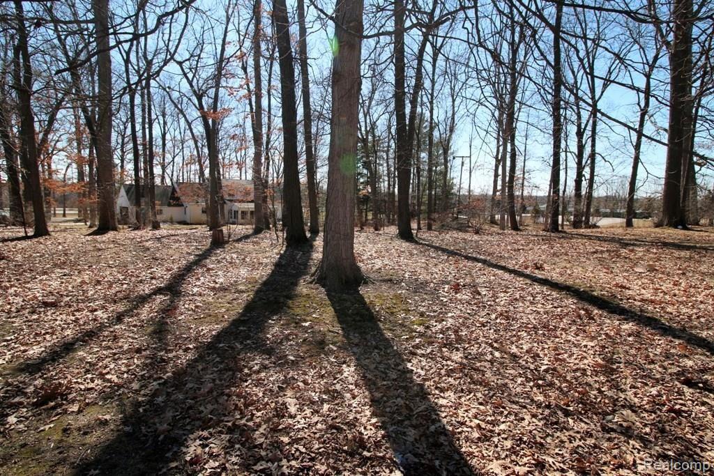1080 West Highland Road Howell, MI 48843 - Photo 7 of 37 HUGE BACKYARD--GREAT FOR ACTIVITIES