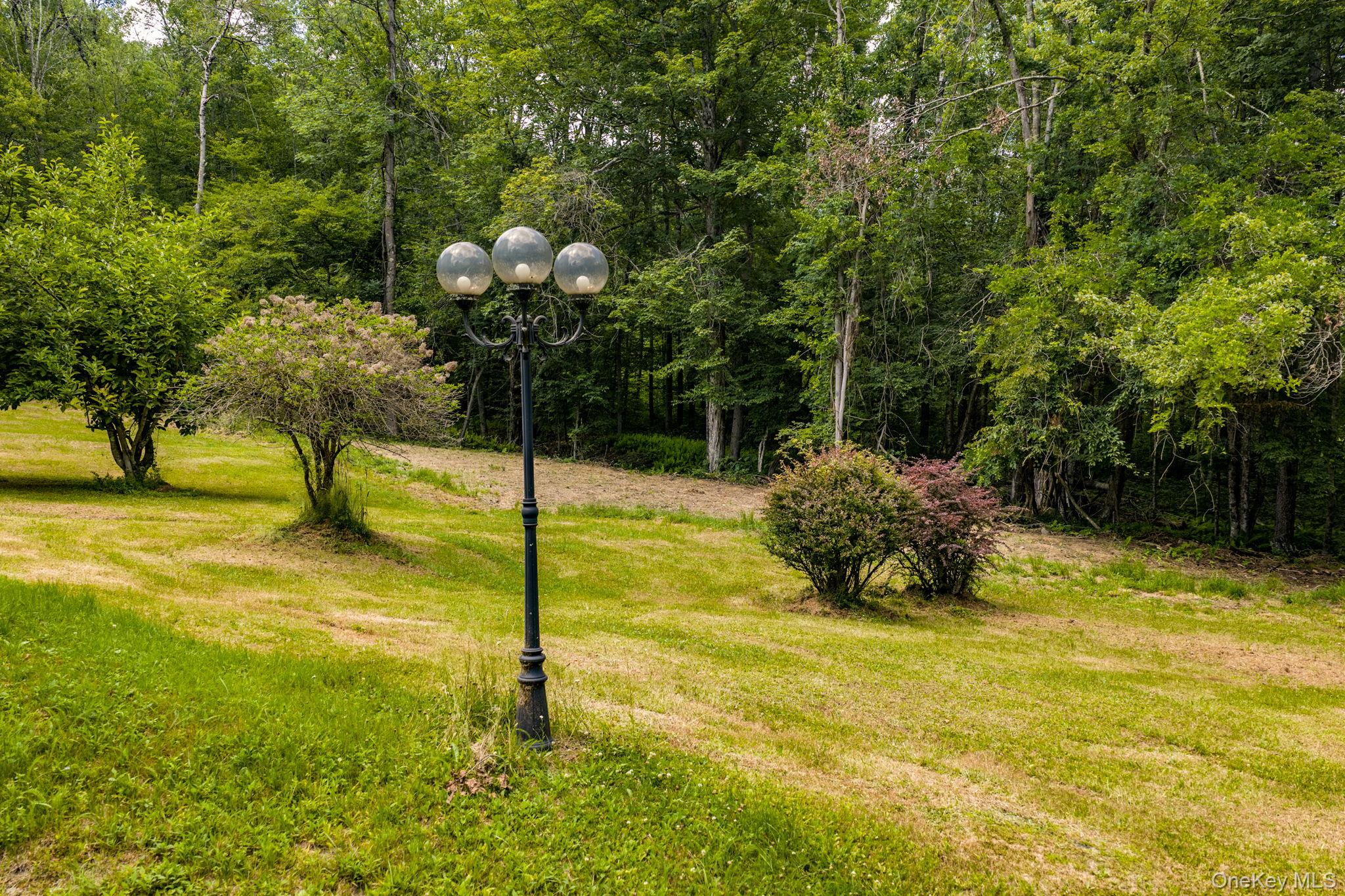 10 Hoffman Road Hankins, NY 12741 - Photo 29 of 46 Level private yard