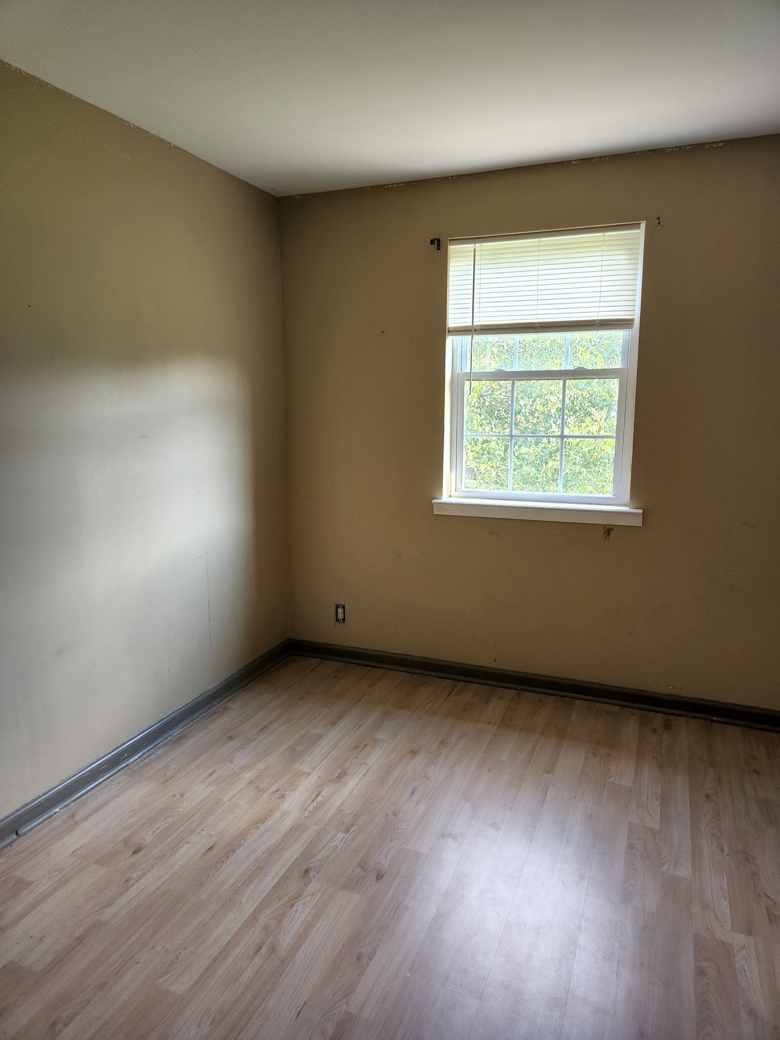 323 Forest Park Road, Unit 610 Madison, TN 37115 - Photo 5 of 8 Gallery Image 5