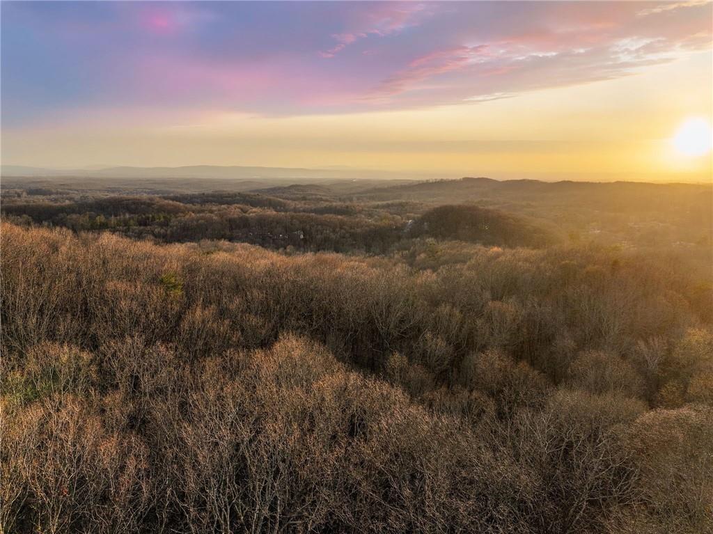 Lot 2 Mount Mincie Road Murrayville, GA 30564 - Photo 1 of 17