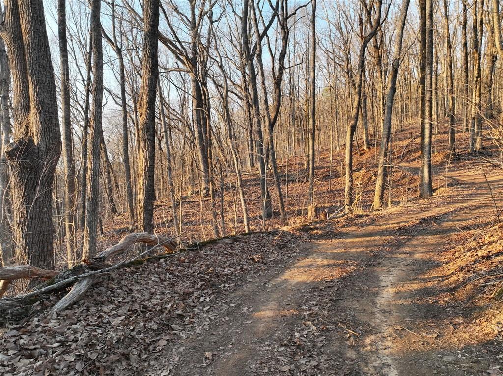 Lot 2 Mount Mincie Road Murrayville, GA 30564 - Photo 12 of 17