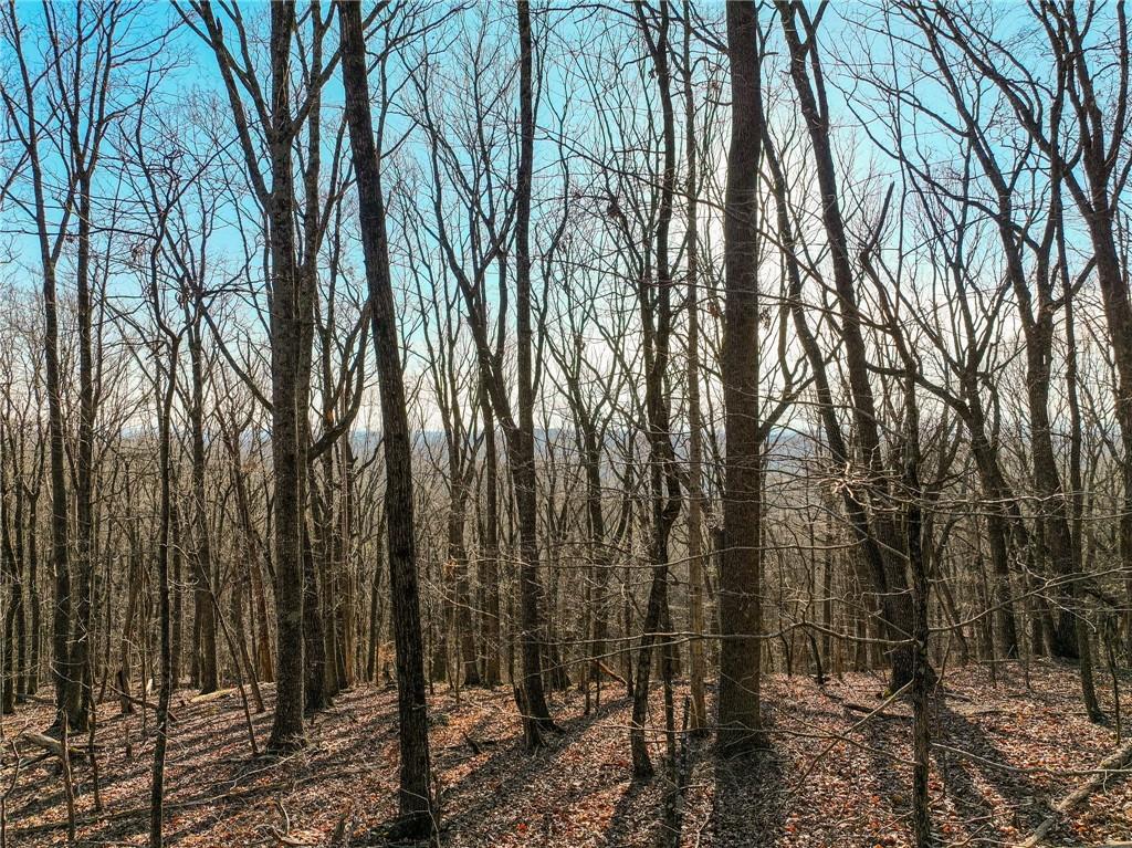 Lot 2 Mount Mincie Road Murrayville, GA 30564 - Photo 13 of 17