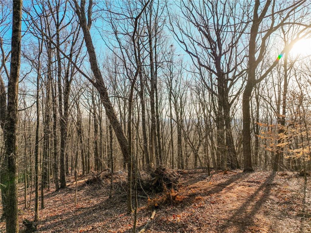 Lot 2 Mount Mincie Road Murrayville, GA 30564 - Photo 14 of 17