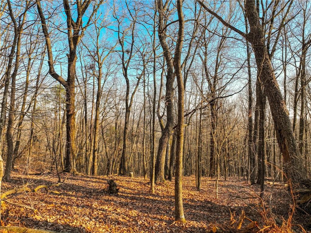 Lot 2 Mount Mincie Road Murrayville, GA 30564 - Photo 15 of 17