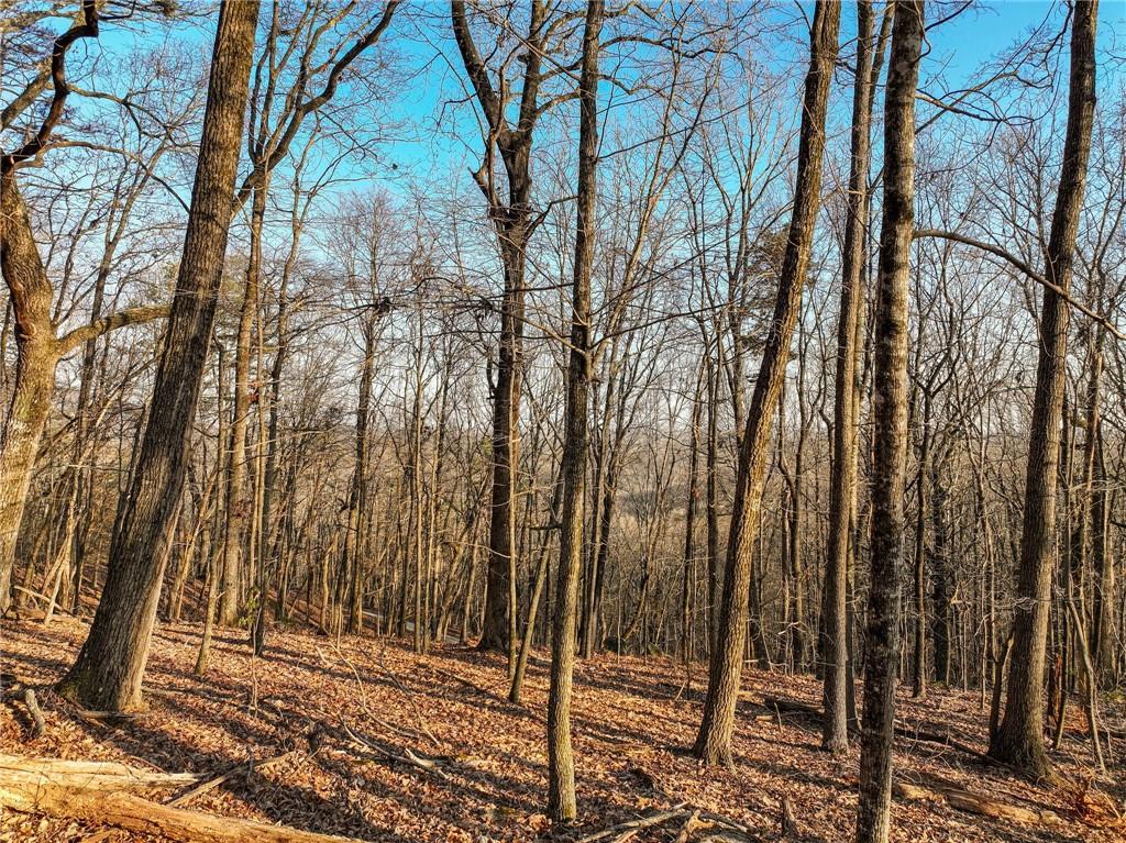 Lot 2 Mount Mincie Road Murrayville, GA 30564 - Photo 16 of 17