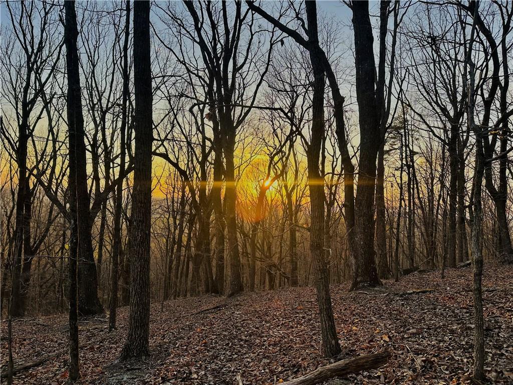 Lot 2 Mount Mincie Road Murrayville, GA 30564 - Photo 3 of 17