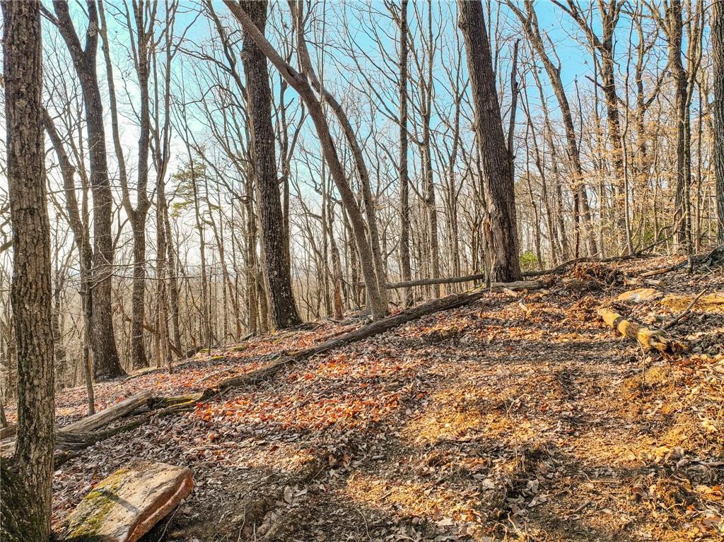 Lot 2 Mount Mincie Road Murrayville, GA 30564 - Photo 4 of 17