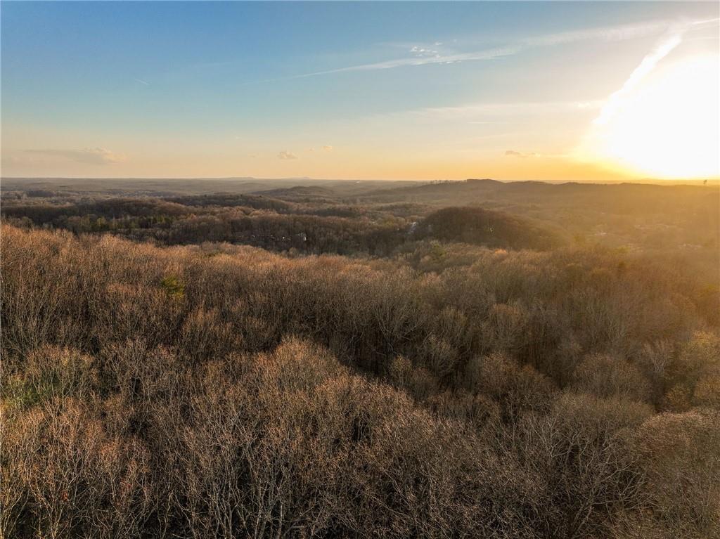 Lot 2 Mount Mincie Road Murrayville, GA 30564 - Photo 5 of 17