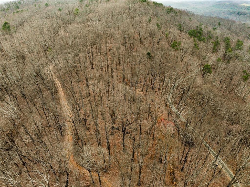 Lot 2 Mount Mincie Road Murrayville, GA 30564 - Photo 6 of 17