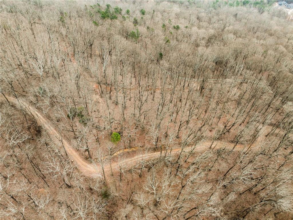 Lot 2 Mount Mincie Road Murrayville, GA 30564 - Photo 7 of 17