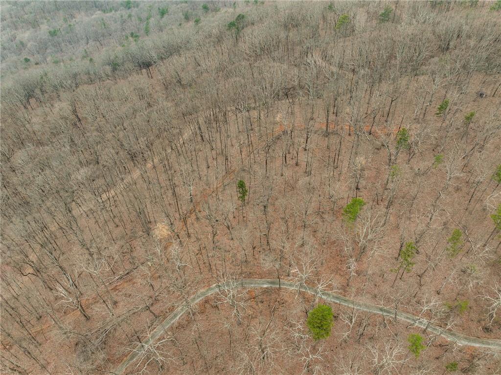 Lot 2 Mount Mincie Road Murrayville, GA 30564 - Photo 8 of 17