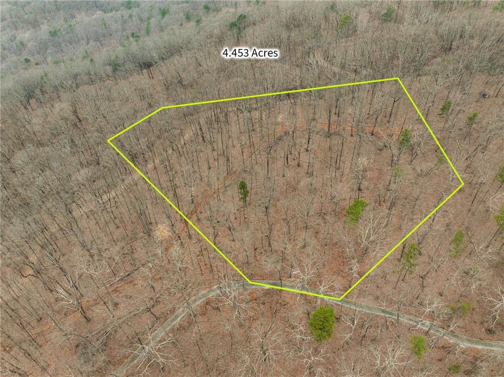 Lot 2 Mount Mincie Road Murrayville, GA 30564 - Photo 9 of 17