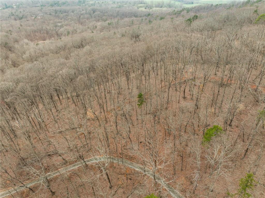 Lot 2 Mount Mincie Road Murrayville, GA 30564 - Photo 10 of 17