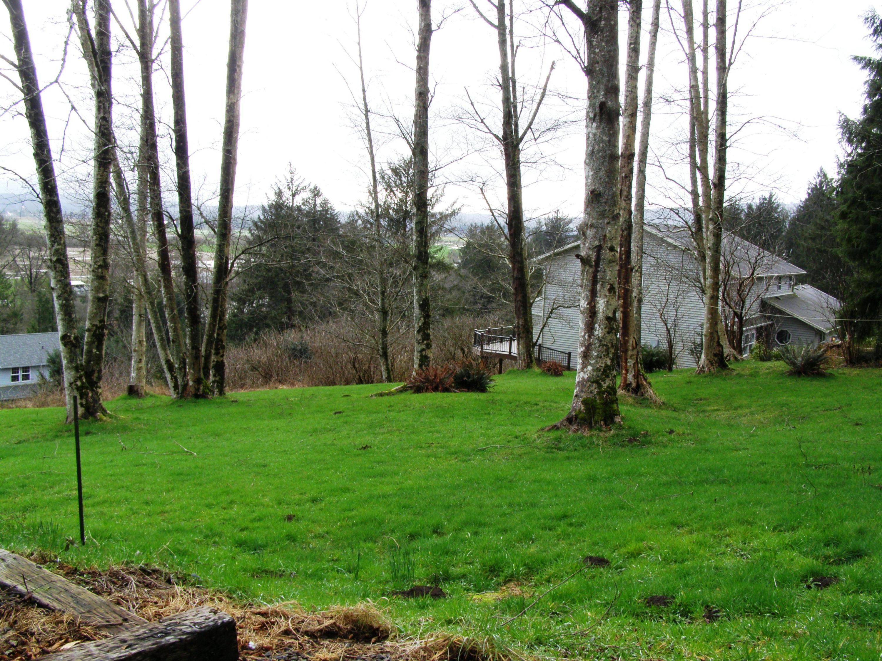 Tl# 500 Hubert Road Tillamook, OR 97141 - Photo 6 of 22 P3102715