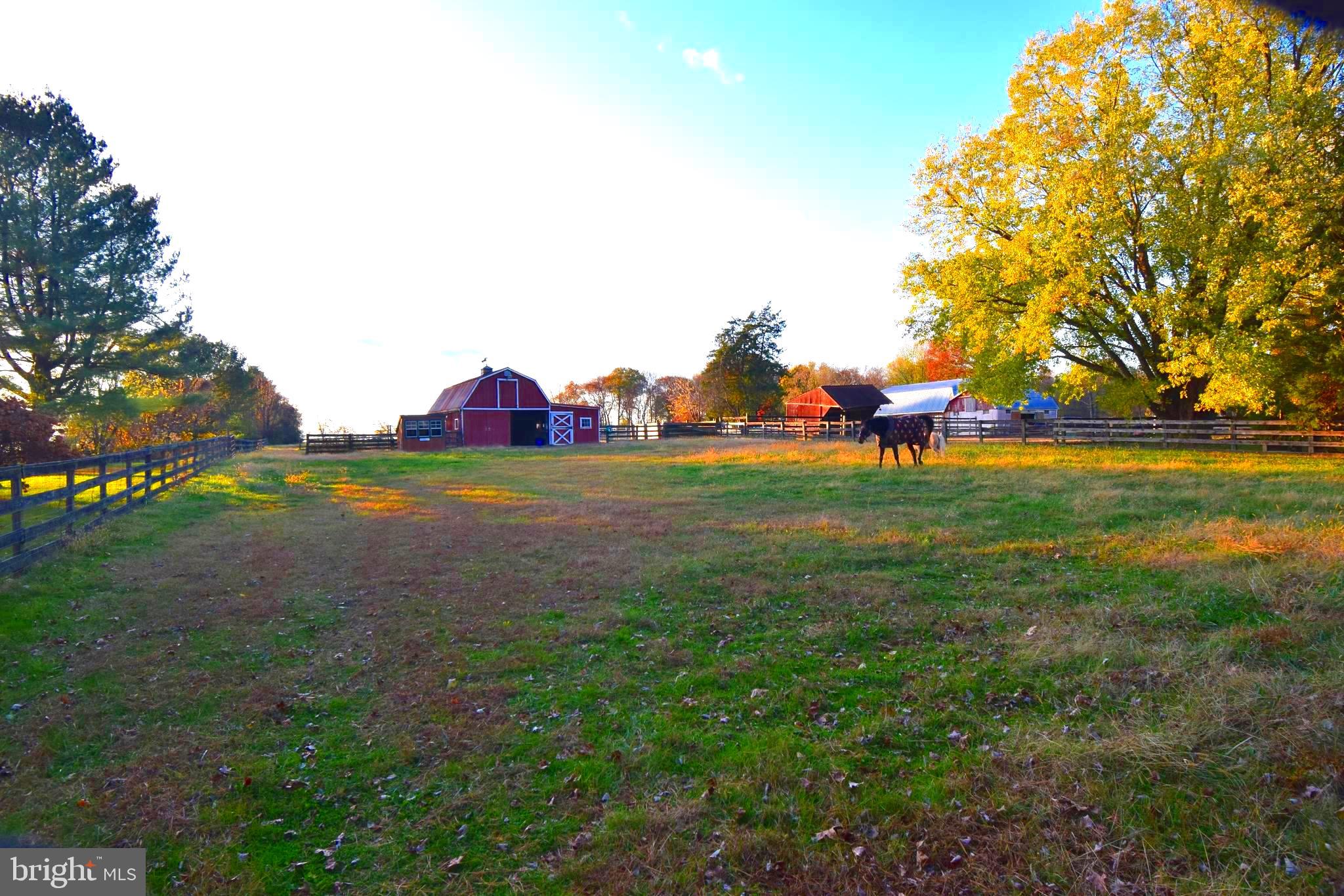 87 Half Mile Turn Rising Sun, MD 21911 - Photo 7 of 31 a view of yard with tree and green space