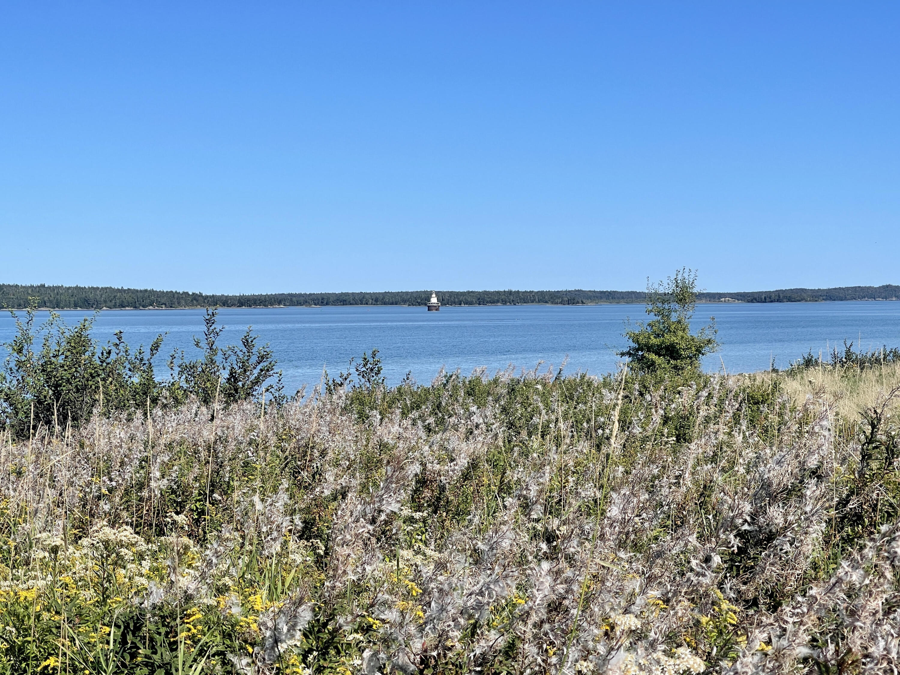 146 South Lubec Road Lubec, ME 04652 - Photo 6 of 13 unnamed (4)
