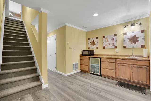 a view of a forest with trees in the background