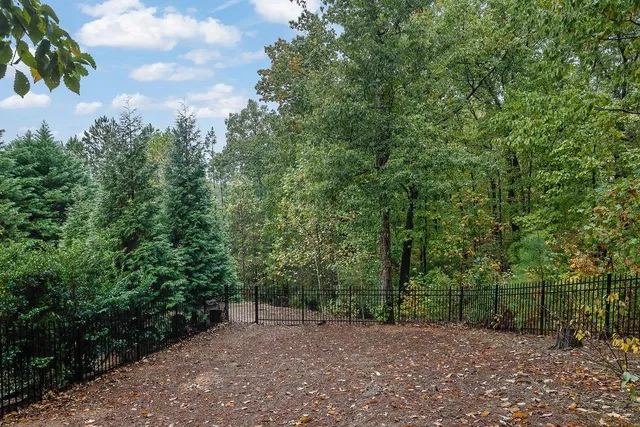 a view of a backyard with plants and large trees
