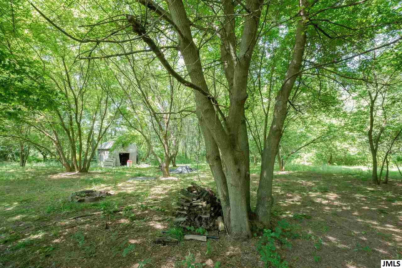 5778 Buckman Road Hanover, MI 49241 - Photo 18 of 21 Photo 18