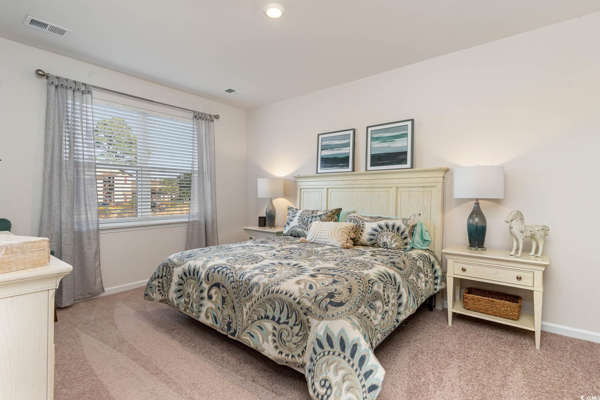 157 Teddy Bear Circle Conway, SC 29526 - Photo 19 of 22