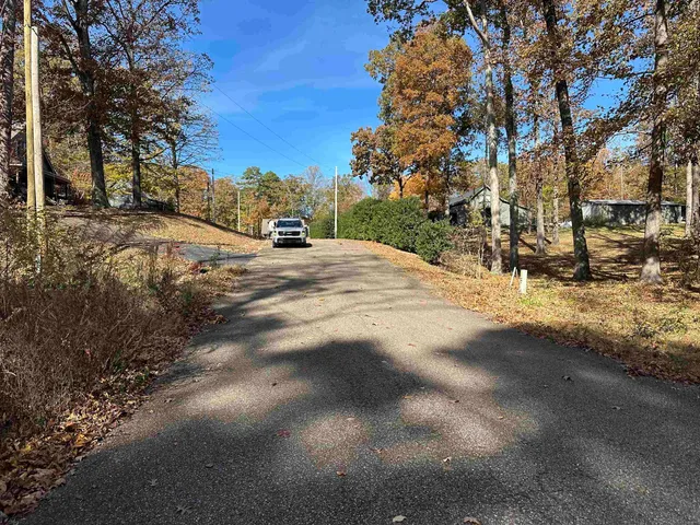 a view of road with large trees