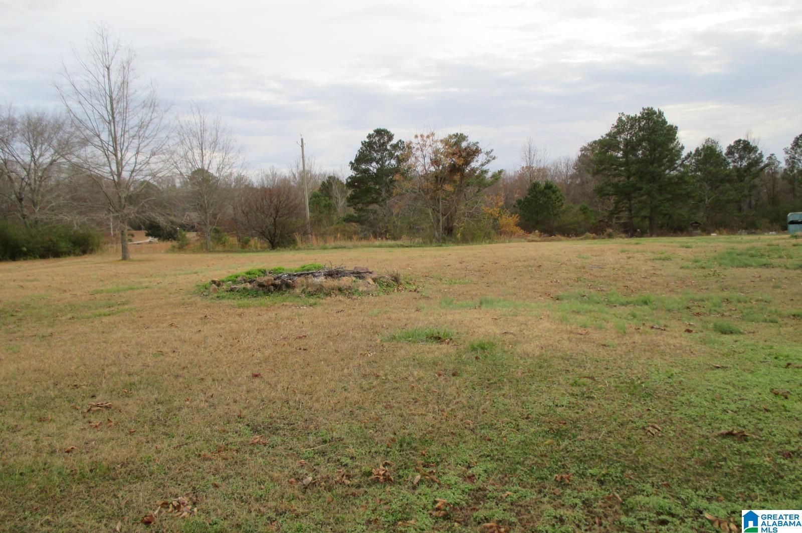 2364 Reneau Road Oneonta, AL 35121 - Photo 17 of 24
