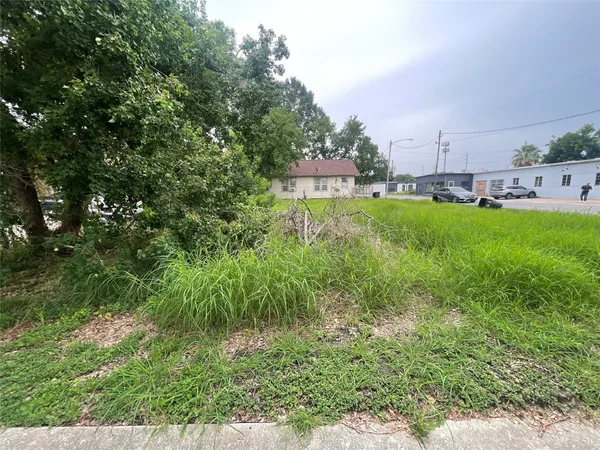 a view of outdoor space and yard