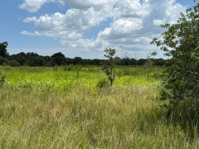 a view of a lush green field