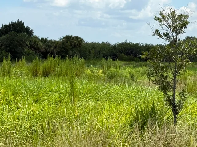 a view of an ocean and beach