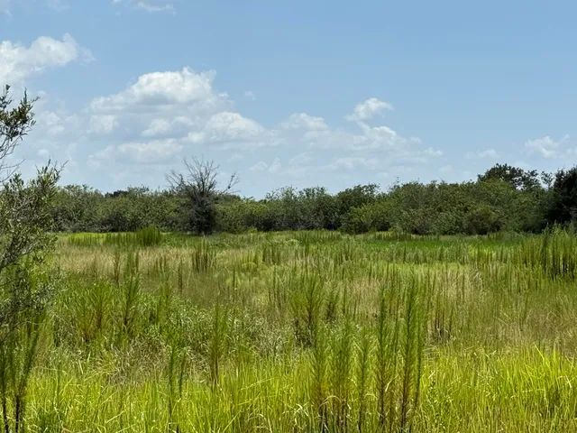 a view of a lush green field