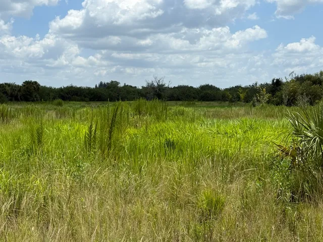 a view of lake with green space