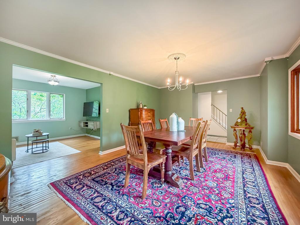 249 Forrest Road Yardley, PA 19067 - Photo 16 of 36 Living Room