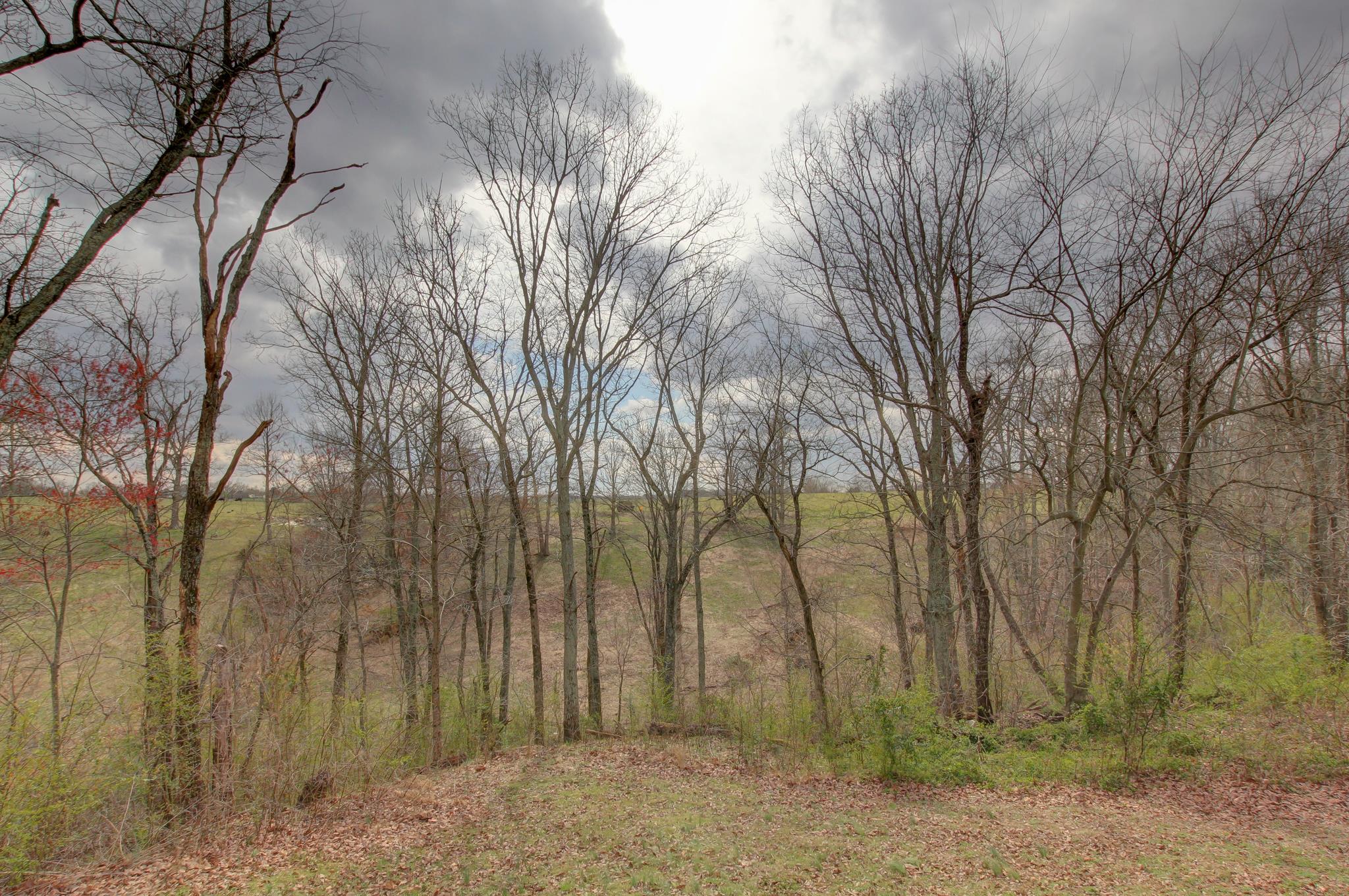 35 Locust Road Erin, TN 37061 - Photo 17 of 20 a backyard of a house with lots of green space