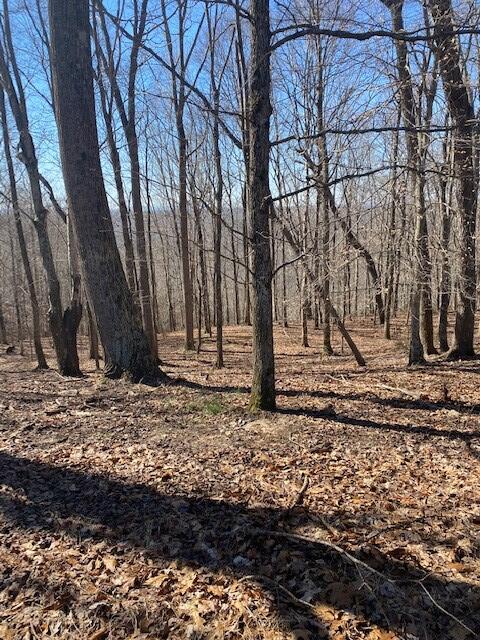 Lot 6 Reeder Town Road, Unit LOT 6 Byrdstown, TN 38549 - Photo 6 of 10 Dale Hollow Tr6e