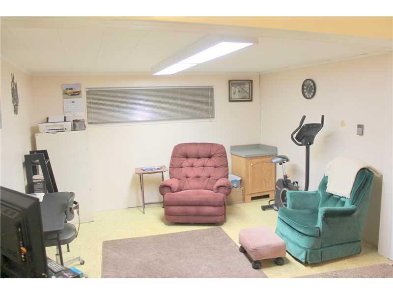 561 North Pike Road Sarver, PA 16055 - Photo 13 of 20 Basement/Game Room.