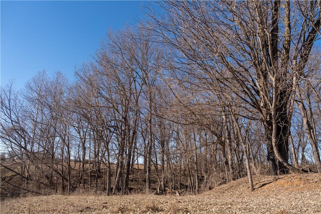 2255 B Riley Road Ottawa, KS 66067 - Photo 24 of 50