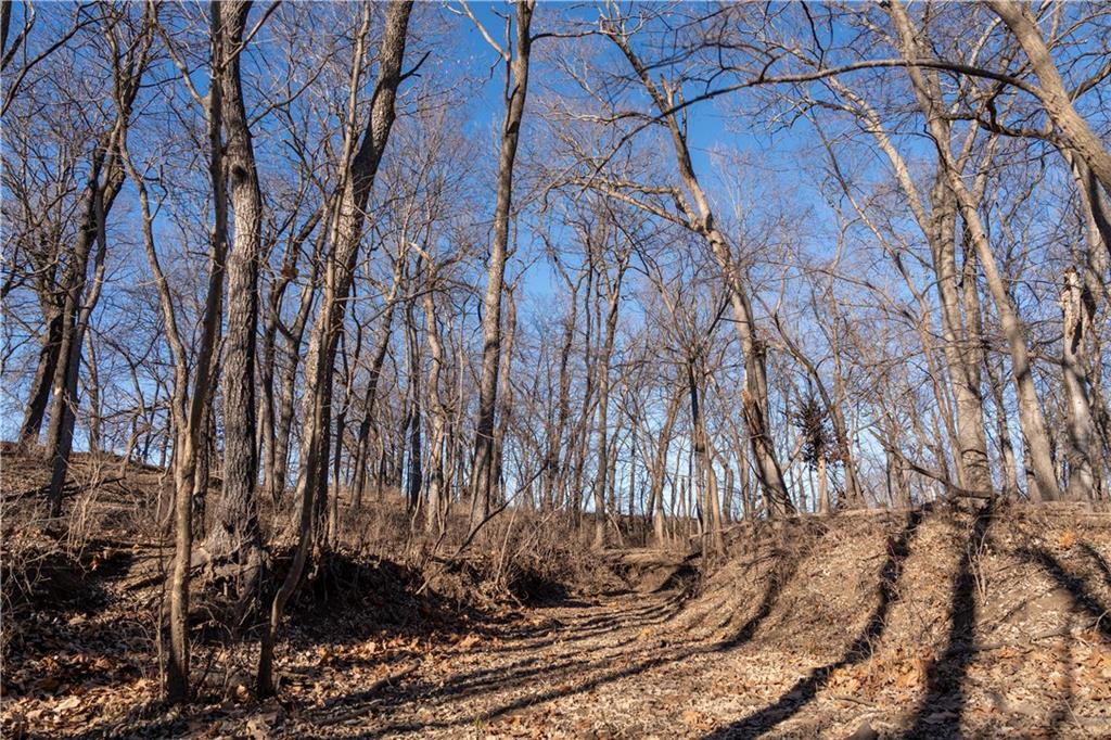 2255 B Riley Road Ottawa, KS 66067 - Photo 25 of 50
