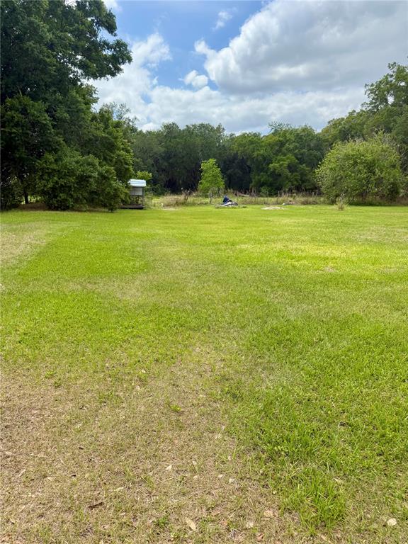 3613 Mindedahl Road Plant City, FL 33567 - Photo 27 of 28