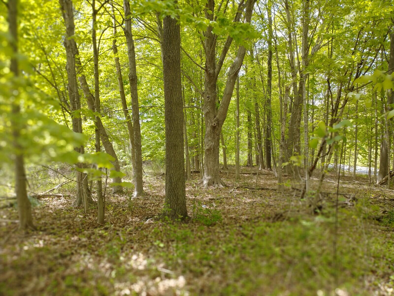 6200 Riverside Road Fennville, MI 49408 - Photo 2 of 8 IMG_20210510_143737205_PORTRAIT