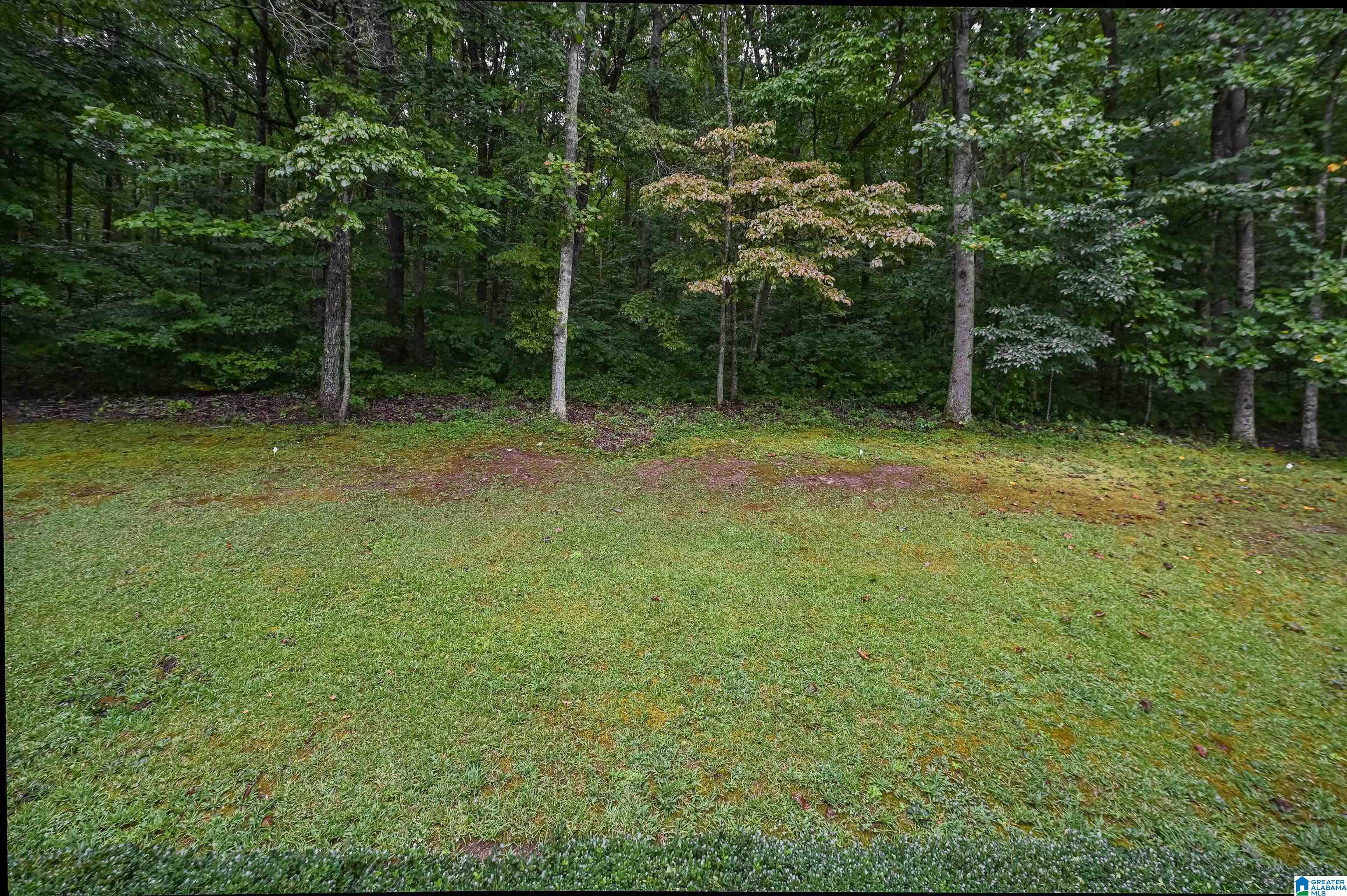 500 Beaver Ridge Circle Ashville, AL 35953 - Photo 43 of 46