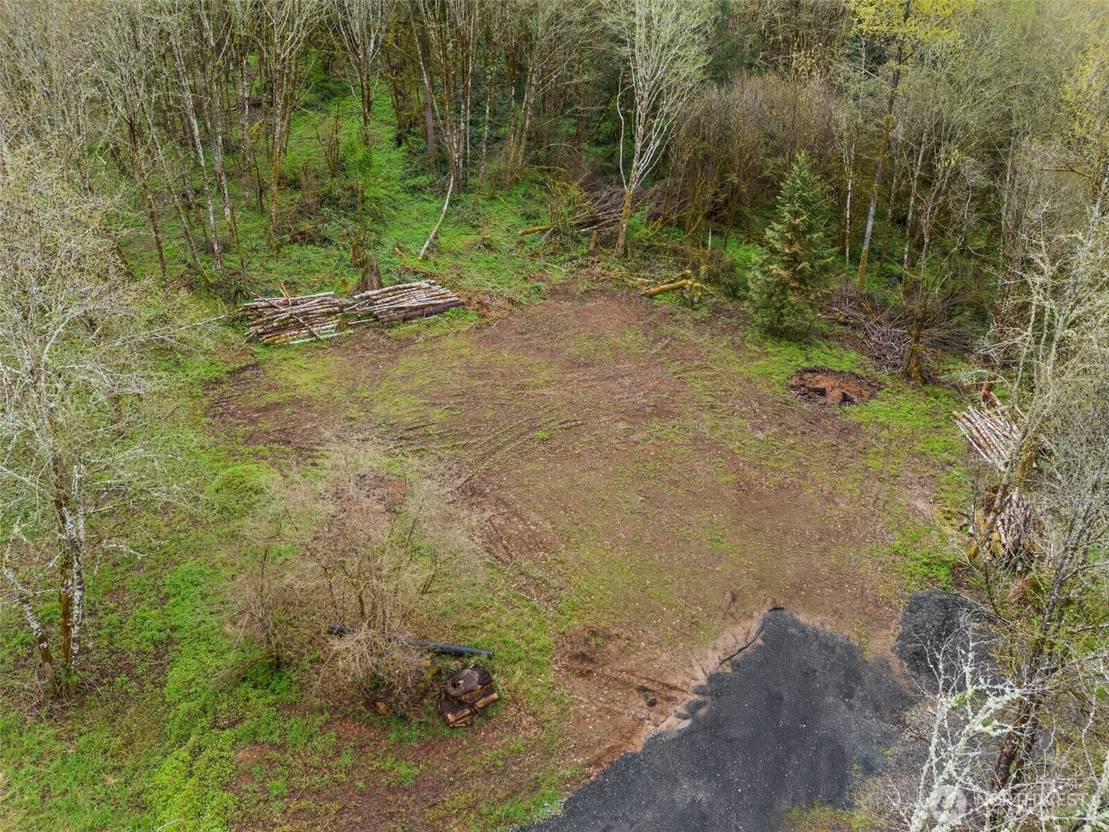10931 Lundeen Road Southwest Rochester, WA 98579 - Photo 11 of 14 a view of a outdoor space
