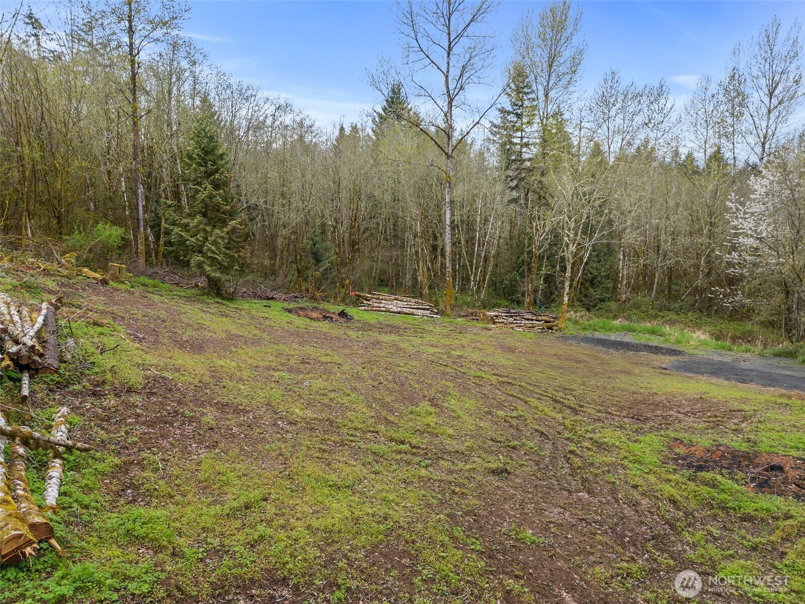 10931 Lundeen Road Southwest Rochester, WA 98579 - Photo 12 of 14 a view of outdoor space with trees