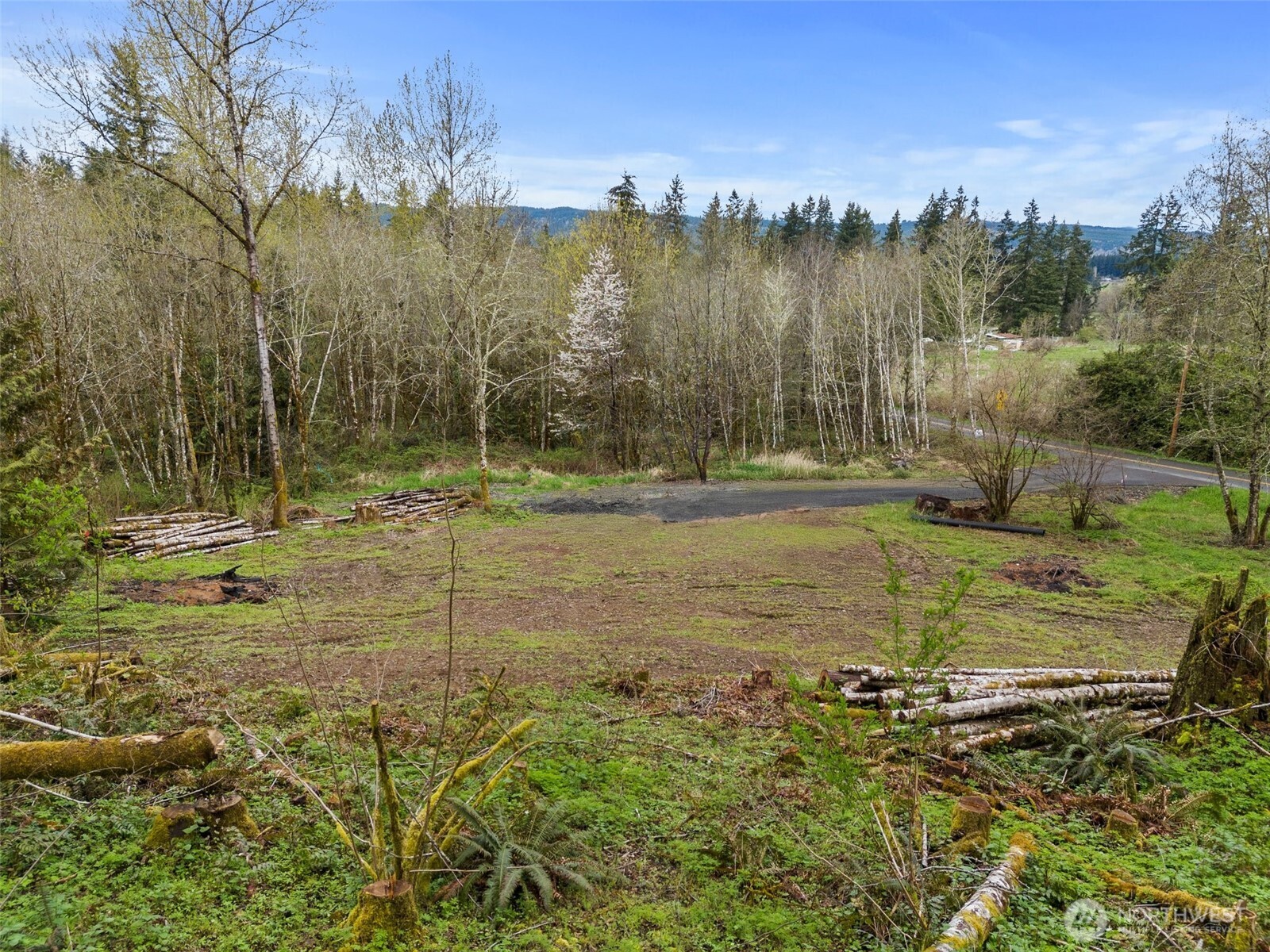 10931 Lundeen Road Southwest Rochester, WA 98579 - Photo 13 of 14 a view of a lake with a yard