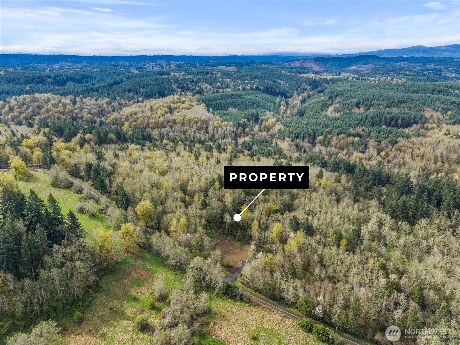 10931 Lundeen Road Southwest Rochester, WA 98579 - Photo 2 of 14 a view of a field