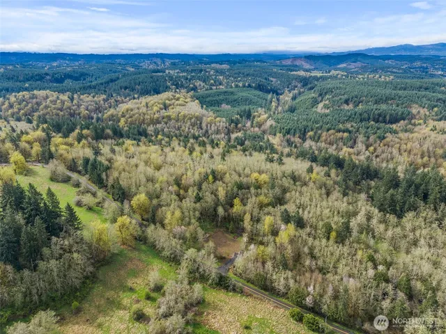 an aerial view of residential houses with outdoor space and trees