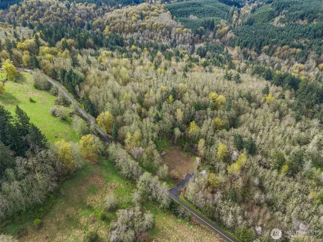 a view of a forest with a houses