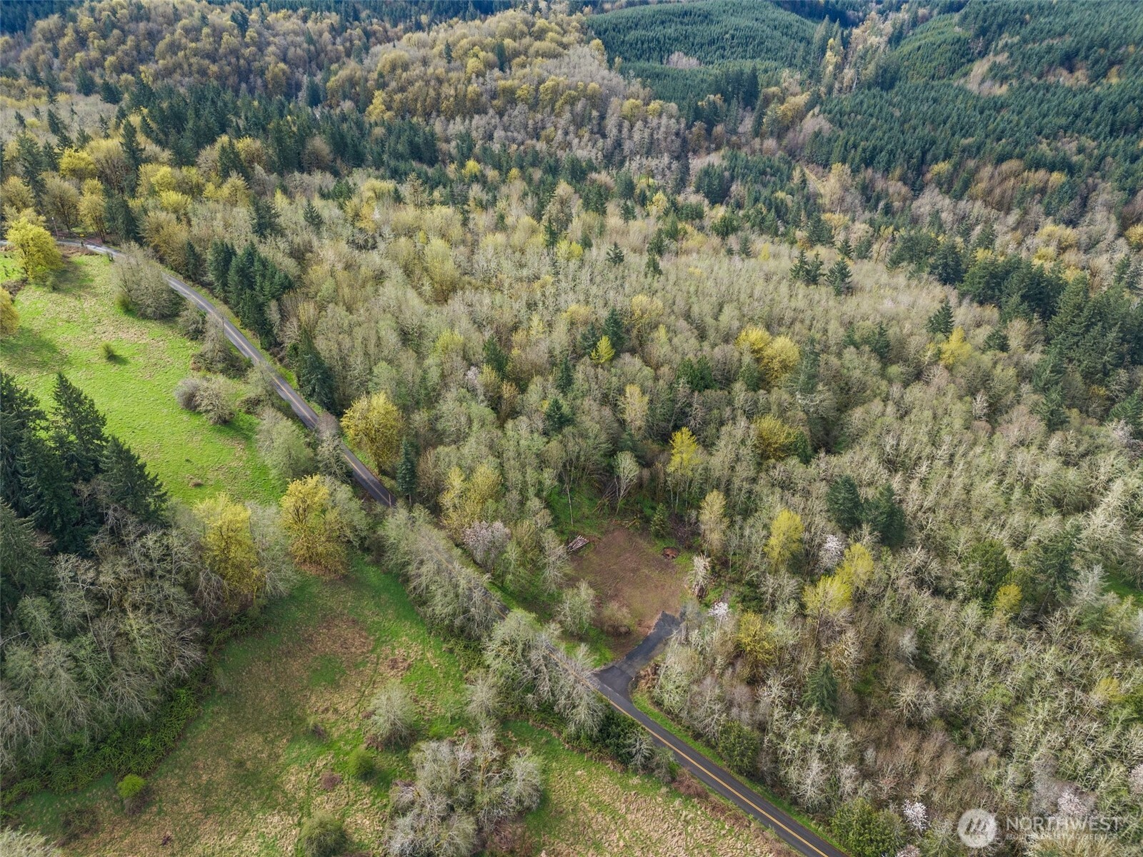 10931 Lundeen Road Southwest Rochester, WA 98579 - Photo 5 of 14 a view of a forest with a houses