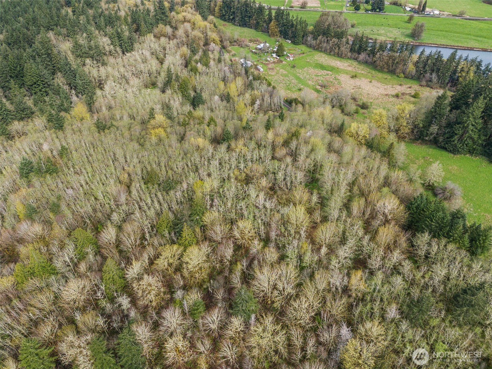10931 Lundeen Road Southwest Rochester, WA 98579 - Photo 10 of 14 a view of a yard with a plants and trees